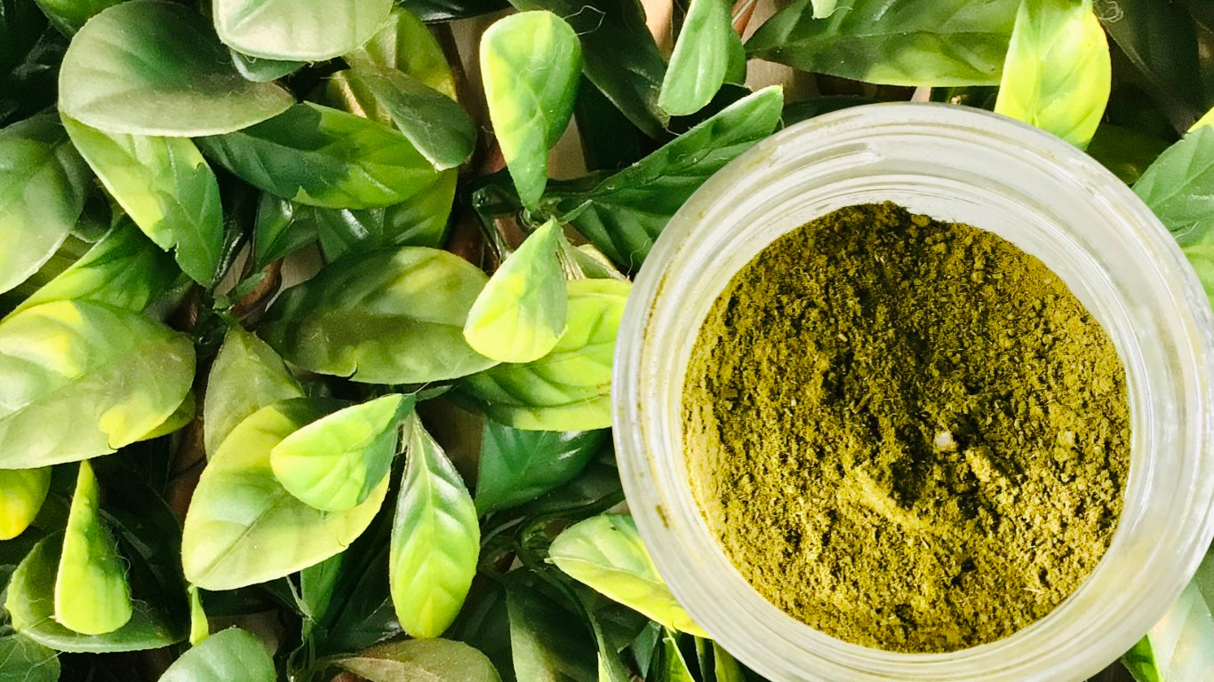 Soursop extract leave powder 1oz