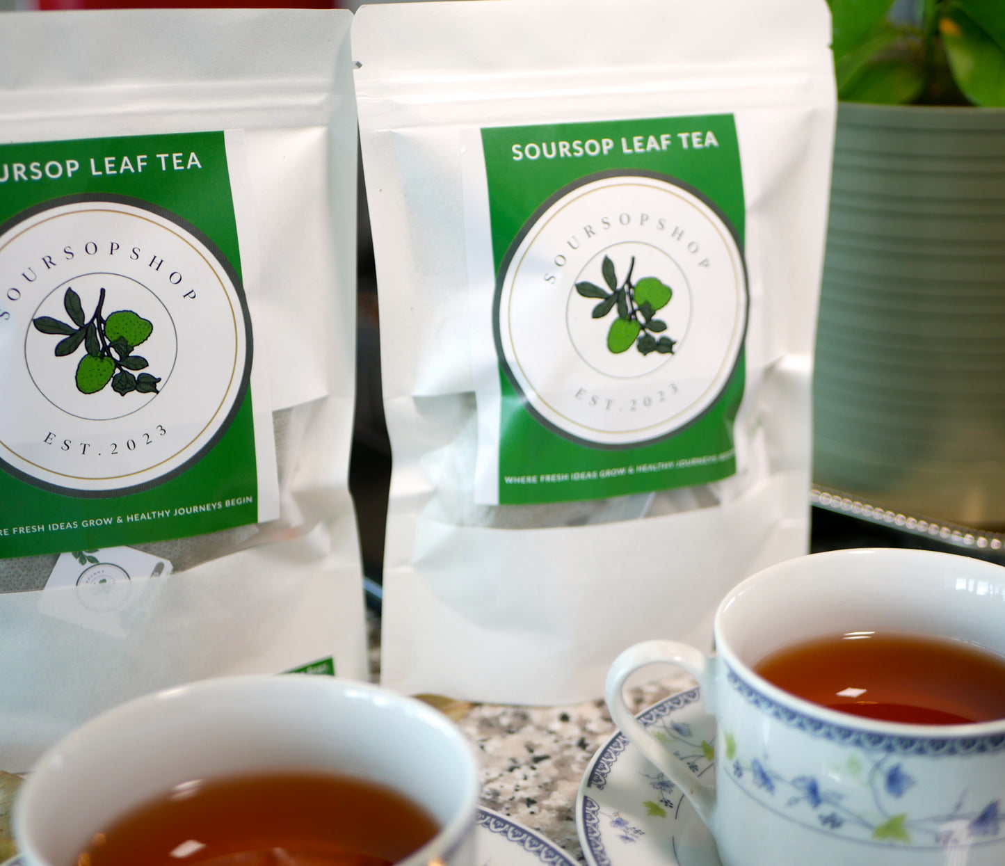 Organic Soursop Teabags
