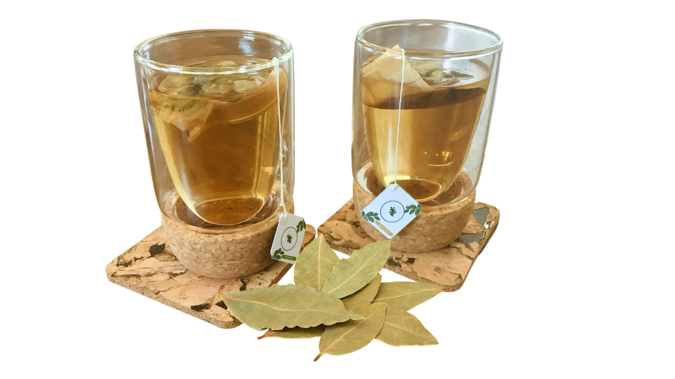 Organic Soursop Teabags