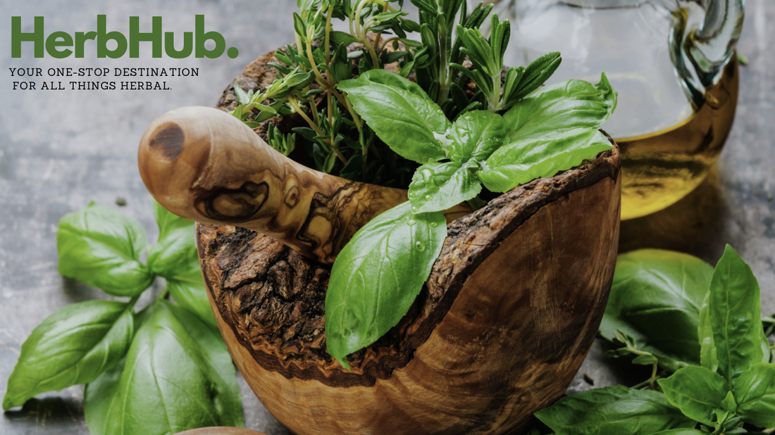 Discover HerbHub: Your Gateway to the World of Herbs