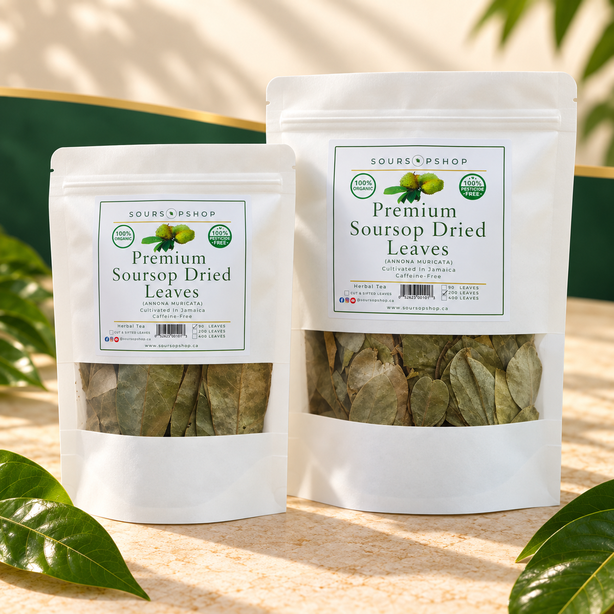 Feuilles entières séchées au Corosan naturel