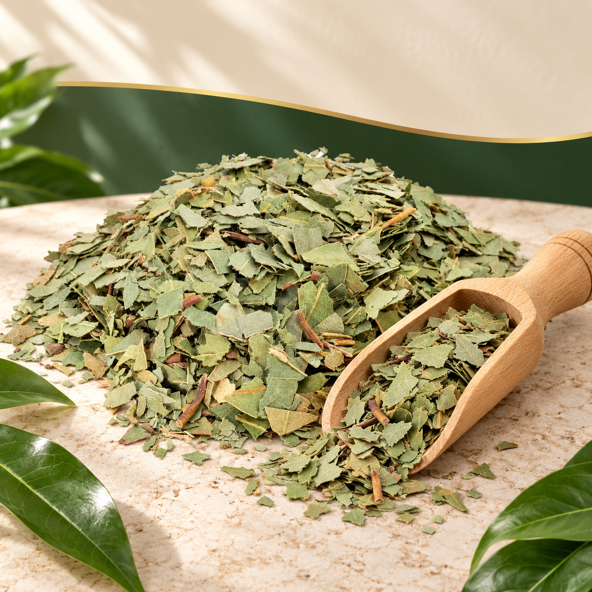 Feuilles entières séchées au Corosan naturel