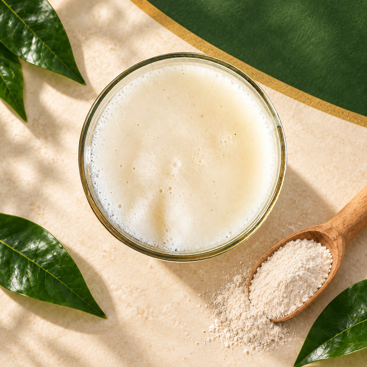 Organic Soursop Fruit Powder