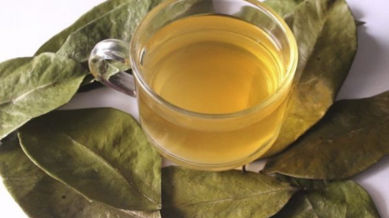 Feuilles entières séchées au Corosan naturel – Soursopshop