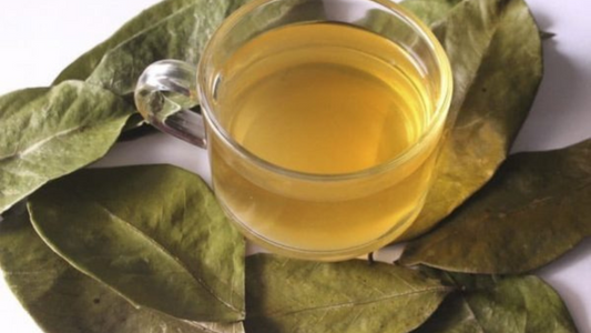 Dried soursop leaves and a. Cup of soursop leaves tea