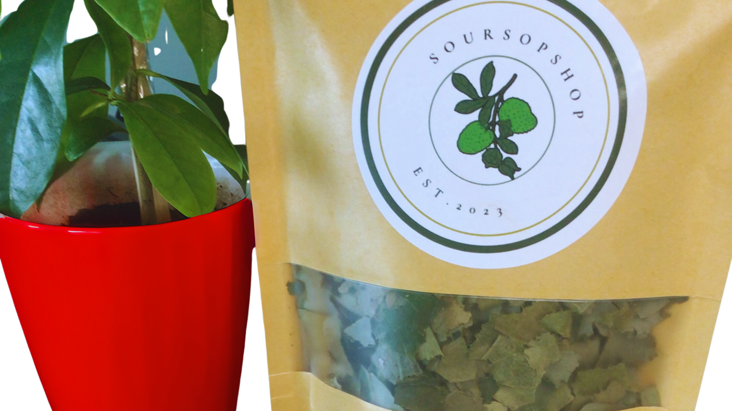 Organic Soursop Dried Whole Leaves